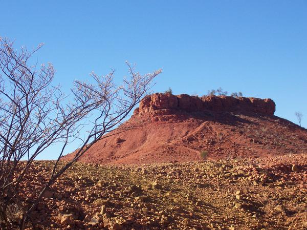 The Dry Desert Outback